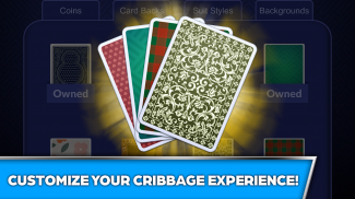 Cribbage Offline Card Game screenshot 0