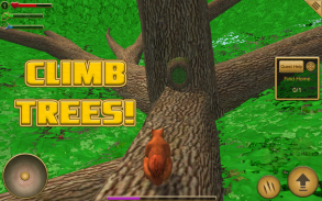 Squirrel Simulator screenshot 0