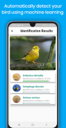 Bird Identifier Pro - Photo Bird Identification screenshot 6