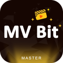 MV Bit Master, Status Video