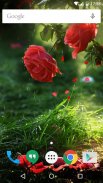 Red Rose Flower Live Wallpaper screenshot 1