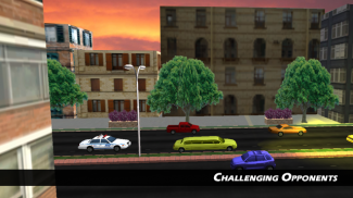 Limo Parking Driving screenshot 4