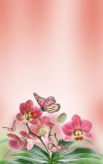 Butterfly Live Wallpaper screenshot 6