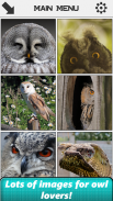 Owl Slide Puzzle screenshot 5