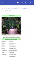 Perennial herbs screenshot 1