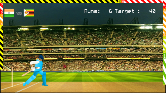 Blokstok Cricket screenshot 3