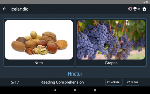 Icelandic Language Tests screenshot 21