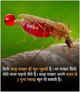 रोचक तथ्य | Rochak Tathya - Unknown Facts in Hindi screenshot 17