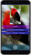 Cantos de Pássaros Brasileiros screenshot 2