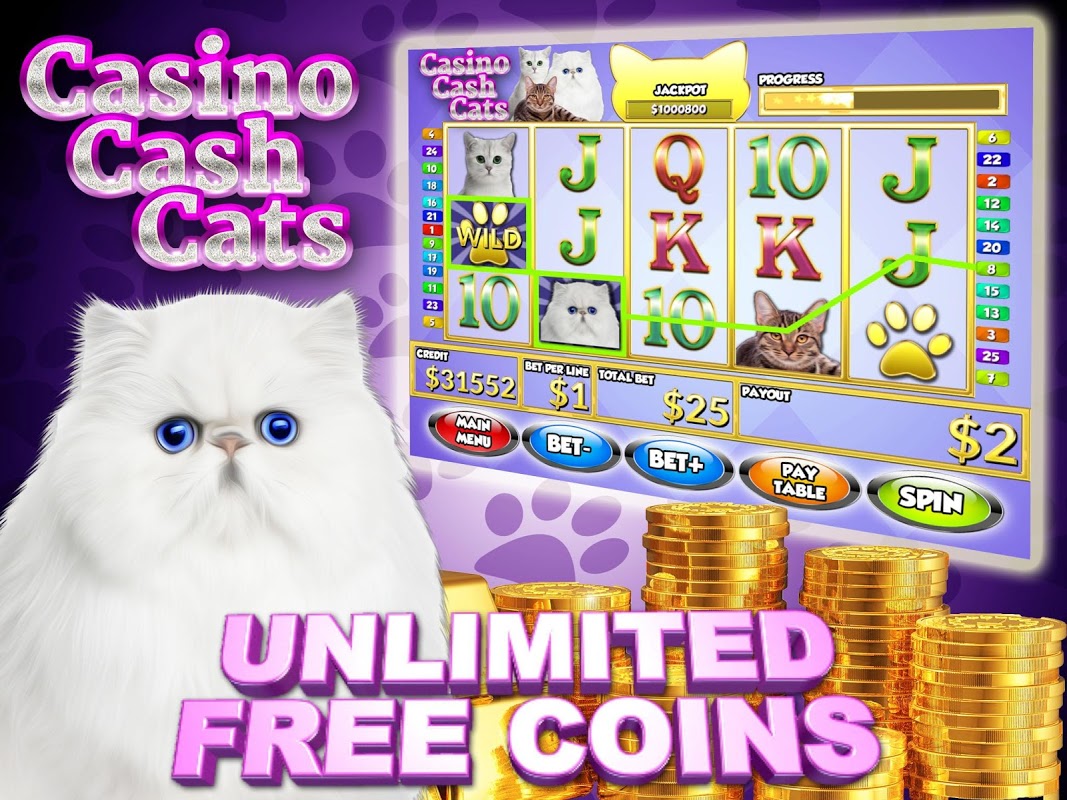 Cash Cats