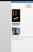 Fishing tackle screenshot 6