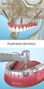 Dental 3D Illustrations screenshot 10