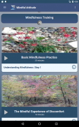 Mindful Attitude & Meditation screenshot 2