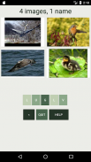 Amazing Animals : Bird Quiz screenshot 2