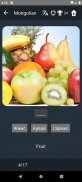 Mongolian Language Tests screenshot 10