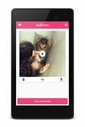 Downloader for Instagram screenshot 9