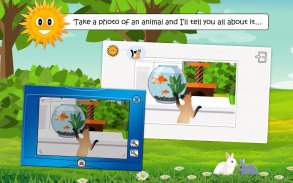 Find Them All: Cats, Dogs and Pets for Kids screenshot 0