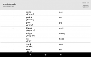 Learn Romanian words with ST screenshot 13