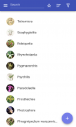 Perennial herbs screenshot 5