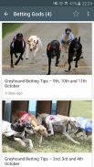 Dog Racing News screenshot 4