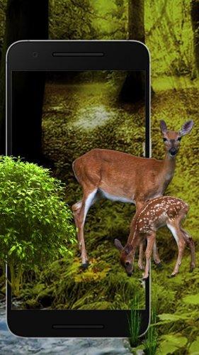 White Deer 3D Live wallpaper - APK