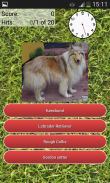 Dog Breeds Quiz screenshot 4