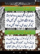 Aqwal e Hazrat Ali RA (Aqwal-e-Zareen) screenshot 9