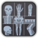 X-ray Interpretation for Medical Use