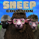 Sheep Collision