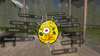 GPB Education VR|AR screenshot 1