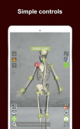 Corporis Anatomy | Interactive 3D Human Body Atlas screenshot 6