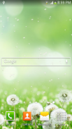 Dandelion Live Wallpaper screenshot 3