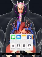 Respiratory System Anatomy screenshot 15