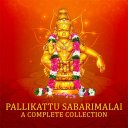 Pallikatu Sabarimalai Ayyapan songs(offline)