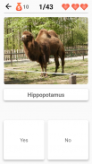 Mammals – Learn All Animals in Foto-Quiz! screenshot 3