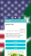 English to Urdu Dictionary screenshot 1