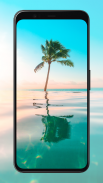 Palm Tree Wallpapers screenshot 4