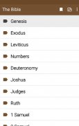 Bible Study apps screenshot 8