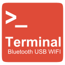 Bluetooth USB WIFI Terminal