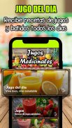 🍹Jugos Medicinales🍹- Jugos para Bajar de Peso screenshot 5