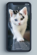 बिल्ली का बच्चा वॉलपेपर screenshot 8
