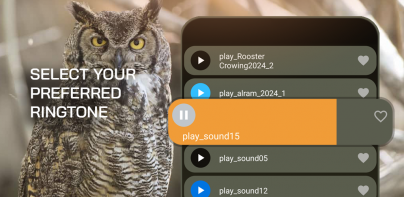 Owl: Sounds & Ringtones