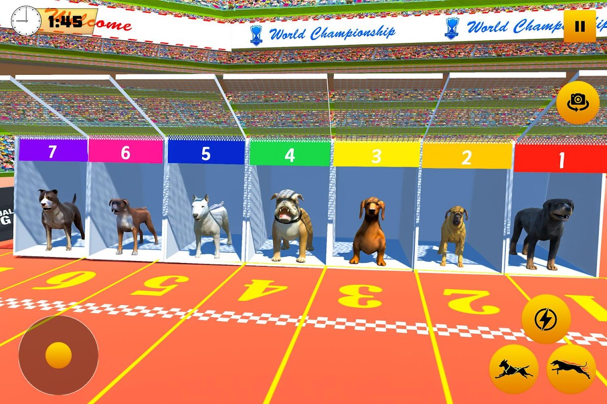 Crazy Dog Race 3D Simulation Android Gameplay ᴴᴰ 
