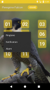 Peregrine Falcon sounds screenshot 1