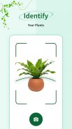 Plant Identifier - snap screenshot 2