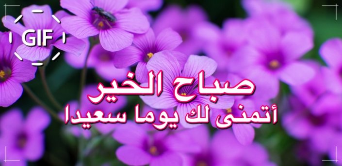 Arabic Good Morning Good Day Gifs Images