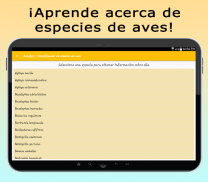 AvesID - Identifica aves screenshot 4