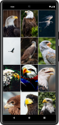 Eagle Wallpapers | HD quality screenshot 3