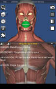 3D Bones and Organs (Anatomy) screenshot 11