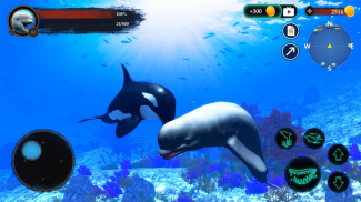 The Beluga Whale screenshot 23